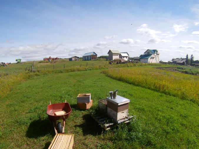 beekeeping2